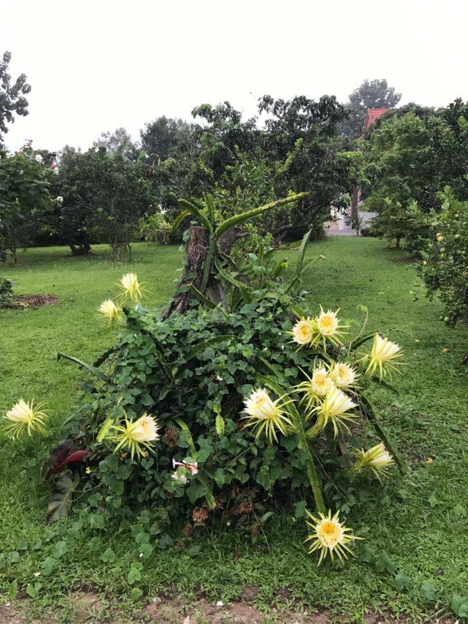 Villa House Of Garden Chiang Rai Esterno foto